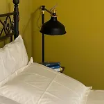 B&B Agave